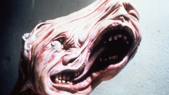 The Thing de John Carpenter (1982) ©AFP - UNIVERSAL PICTURES / ARCHIVES DU 7EME ART / PHOTO12