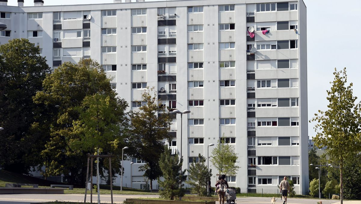 Un Jury Populaire Attribue Les Hlm A Salon De Provence Avec Succes Depuis Trois Ans