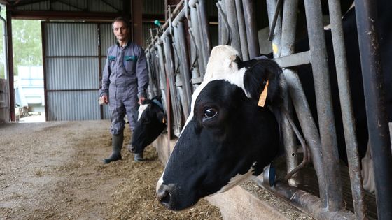 Exploitation agricole à Droyes ©Radio France - Thibault Lefèvre