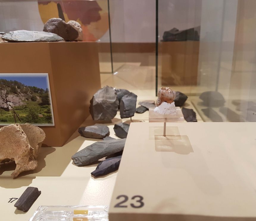 Le Musée National de Préhistoire au Eyzies de Tayac Le Musée National de Préhistoire au Eyzies de Tayac