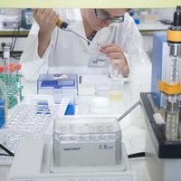 Au laboratoire de l'Ecole Polytechnique