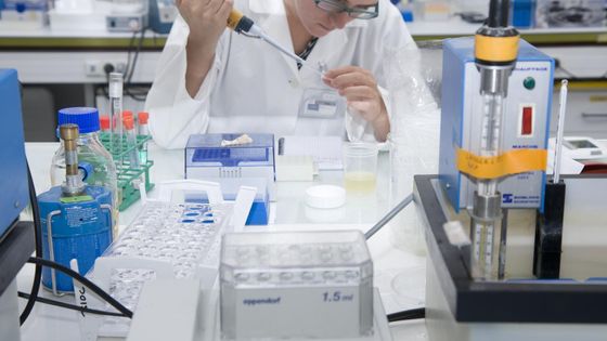 Au laboratoire de l'Ecole Polytechnique - CC