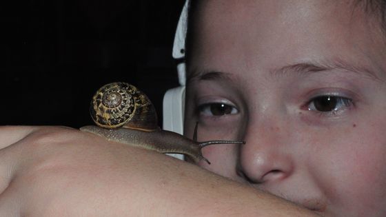 Coralie et son escargot - © Hélène Corbec