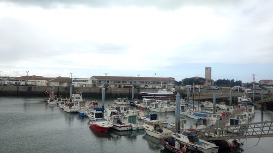 Port de la Cotinière ©Radio France - Clémence Mary