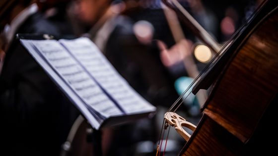 Close-Up Of Cello ©Getty - Mohamad Ridzuan Abdul Rashid / EyeEm