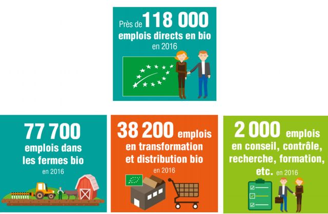 L'emploi dans la filière bio