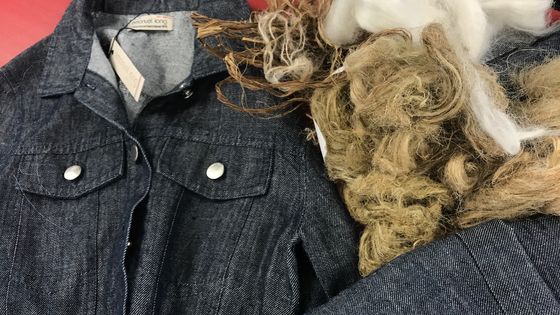 Cette veste de la marque alsacienne Emanuel Lang a été réalisée avec des fibres d'orties ©Radio France - Hélène Chevallier