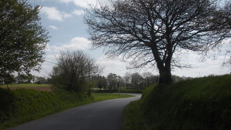 la route de Maël-Pestivien à Coat-Maël