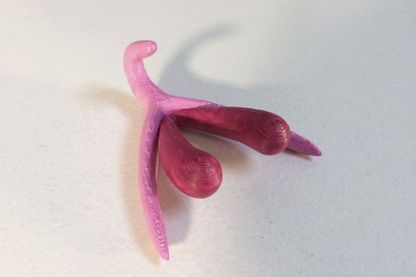 Extrait de la vidéo de Marie Docher présentant le modèle de clitoris imprimable en 3D imaginé par Odile Fillod, réalisé par Mélissa Richard pour le Carrefour du numérique de la Cité des Sciences Extrait de la vidéo de Marie Docher présentant le modèle de clitoris imprimable en 3D imaginé par Odile Fillod, réalisé par Mélissa Richard pour le Carrefour du numérique de la Cité des Sciences