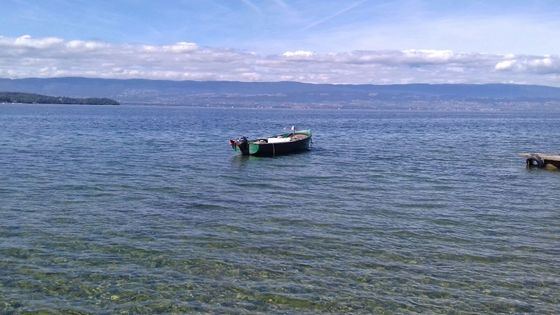 Au bord du lac Léman ©Radio France - Nicolas Stoufflet