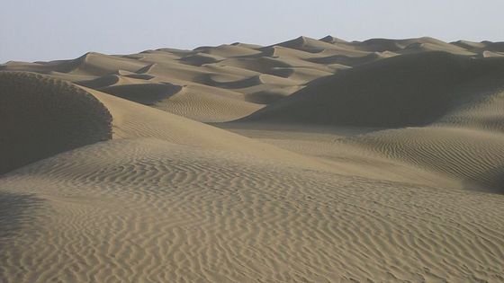 Désert du Taklamakan - 6-A04-W96-K38-S41-V38