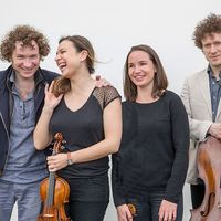 Le Quatuor Strada © Quatuor Strada