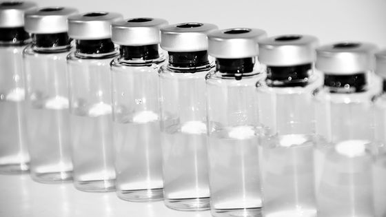 11 vaccins seront obligatoires au 1er janvier 2018 - Pixabay