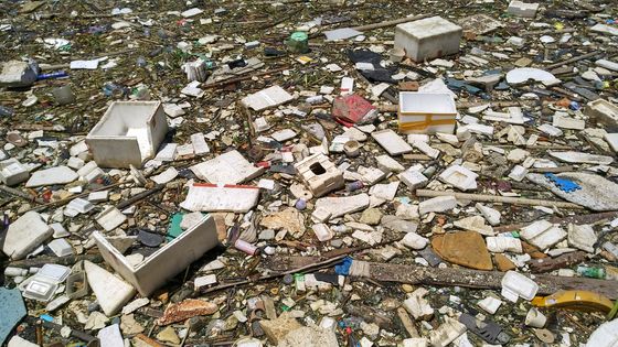 Déchets flottant sur la mer - ZHOU BIXIONG / IMAGINECHINA
