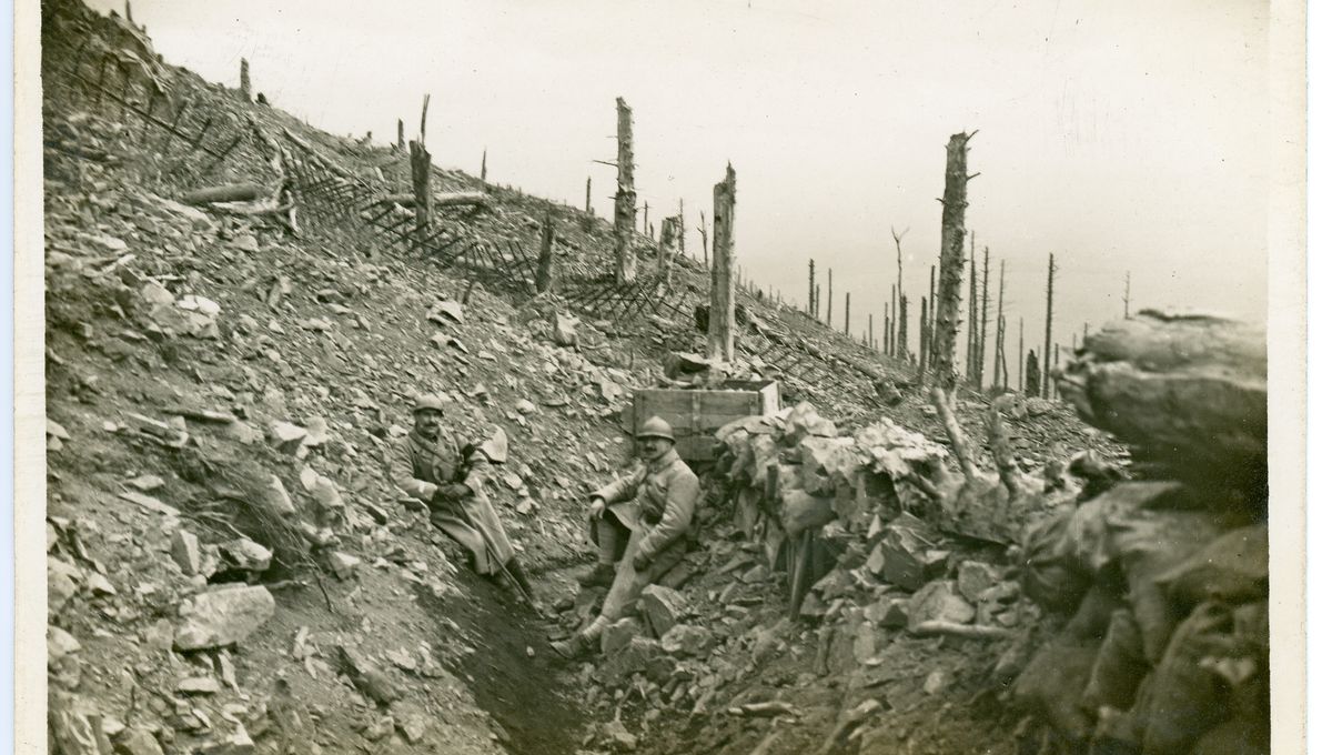 Video Le Hartmannswillerkopf La Montagne Mangeuse D Hommes De La Grande Guerre En Alsace