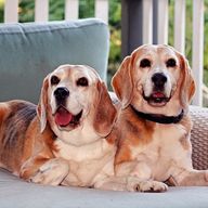 Les experts animaliers sur France Bleu Auxerre