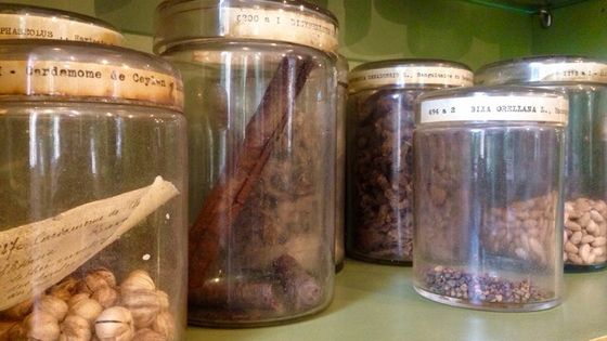 Droguier de la Société Française d'Ethnopharmacologie ©Radio France - Lydia Ben Ytzhak