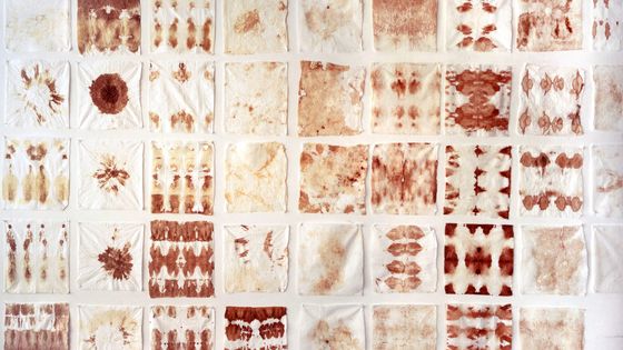 Les mouchoirs menstruels, une série de 700 mouchoirs, 10 x 8 x 3,5 cm, 1997-2005 - Laetitia Bourget