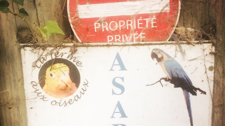 L’ASAP, Association de sauvegarde et d'accueil des perroquets