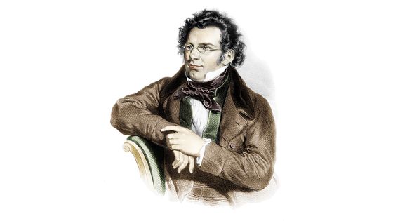 Franz Schubert ©Getty - Leemage