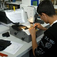 Le lycee du Dauphine de Romans est l'un des trois lycees en France a proposer une filiere complete des metiers du cuir. Du BEP au BTS.