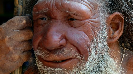 Reconstitution d'un homme de Neandertal au musée Neandertal en Allemagne ©AFP - HORST OSSINGER / DPA