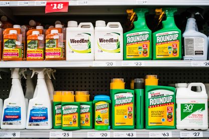 Roundup Roundup