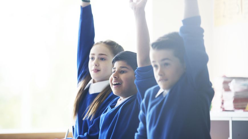 Éducation : portrait chimique d'un cerveau qui apprend