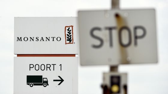 Panneau Stop placé à côté du logo Monsanto près d'Anvers en 2016 ©AFP - JOHN THYS / AFP