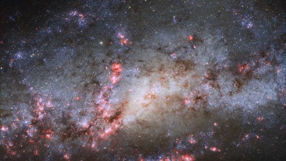 Image dans l'espace, de la galaxie NGC 4490 réalisée le 28 septembre 2017 par l’Agence Européenne Spatiale (ESA), prise avec le télescope de la NASA/ESA. ©AFP - HANDOUT / ESA/HUBBLE