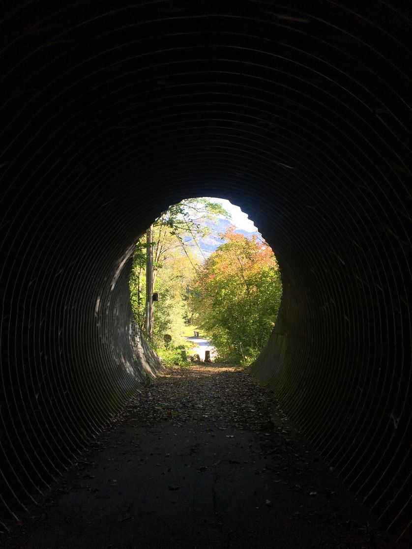 "Le tunnel de Chihiro", à Saint-Dié-des-Vosges