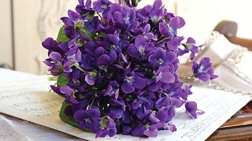 La musique est un bouquet de violettes - D.R.