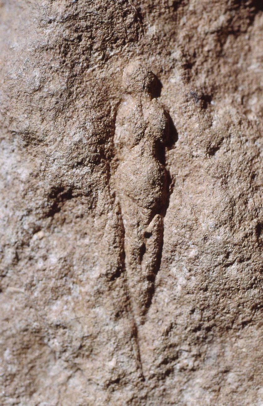 Vénus (abri Pataud, Les Eyziesde- Tayac-Sireuil, Dordogne), Paléolithique supérieur, moulage, 15 × 20 × 9 cm, Paris, Muséum national d’histoire naturelle, musée de l’Homme