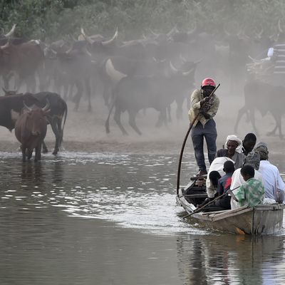 Aux abords du village de Guite, des personnes traversent en bateau le lac Tchad qui borde le Nigeria, le Nigeria et le Cameroun. Le 30 mars 2015.