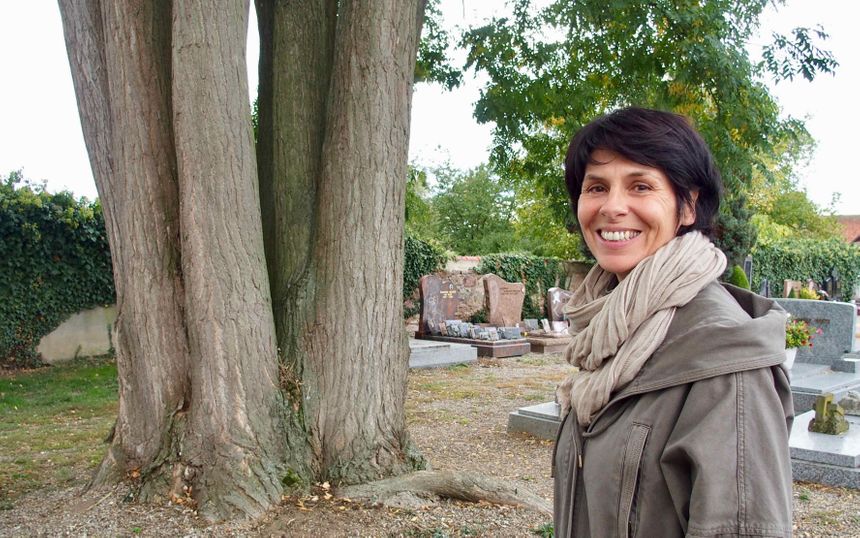 Horbourg-Whir, Geneviève Sutter, adj. Environnement devant le Sofora Japonica à 9 troncs