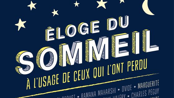 Eloge du sommeil - Sous la Direction de Dalibor Frioux (Seuil)