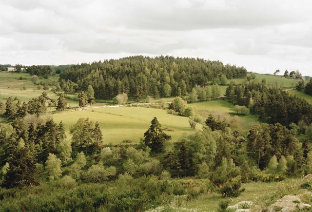 Thibaut Cuisset. Série «Une campagne française». Sans titre (La Margeride, Lozère), 2010. Galerie Les Filles du calvaire, Paris