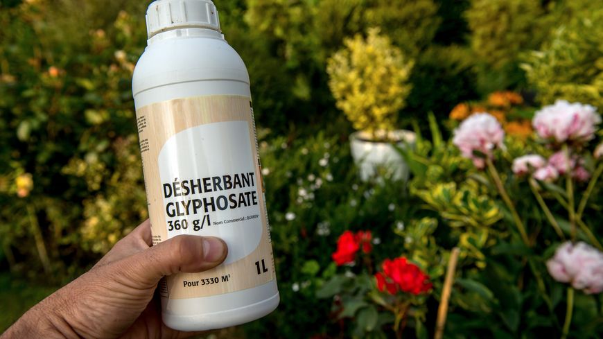 Cette molécule constitue la base d’herbicides fabriqués et vendus par des dizaines de sociétés (le brevet de Monsanto est tombé). A raison de plus de 800 000 tonnes par an, dans plus de 130 pays.