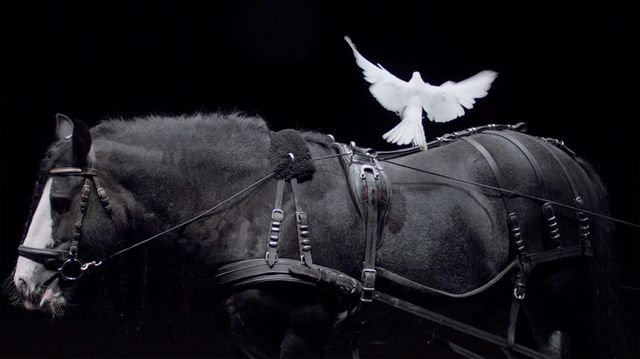 Ex Anima (Capture d'écran)