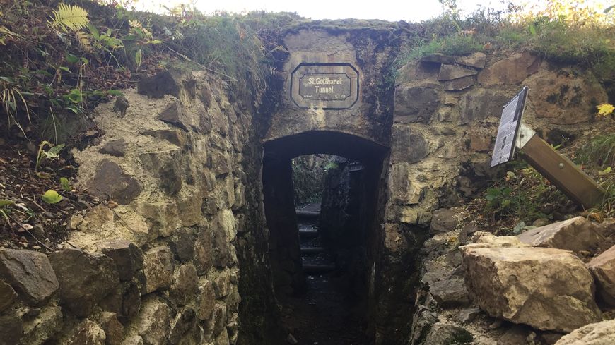 L'une des tranchées préservées du Hartmannswillerkopf.