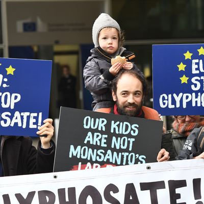 Le 9 novembre dernier, des manifestants brandissent des pancartes, devant la Commission européenne à Bruxelles, demandant le non renouvellement de la licence du glyphosate.