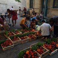 L'AMAP (Association pour le Maintien d'une Agriculture Paysanne), un des nombreux modèles de mise en oeuvre de l'ESS