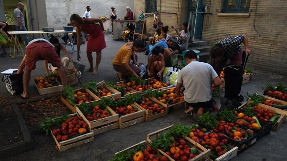 L'AMAP (Association pour le Maintien d'une Agriculture Paysanne), un des nombreux modèles de mise en oeuvre de l'ESS ©AFP - PASCAL PAVANI