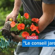 Le conseil jardin