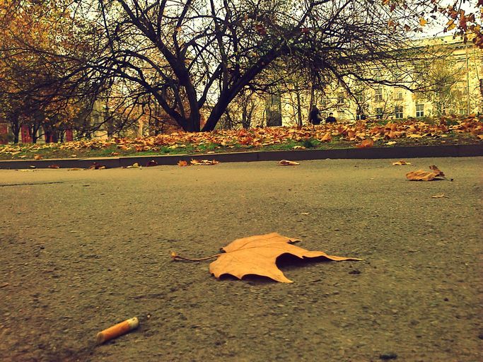 Jeter au sol son mégot : un acte qui n'a rien d'anodin