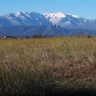 Le Canigou