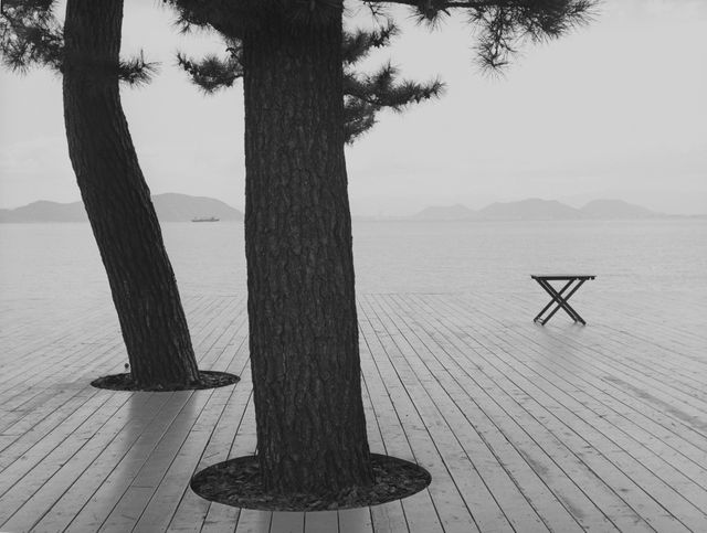 Série "L'arrière-saison", Naoshima, Japon, 2015.