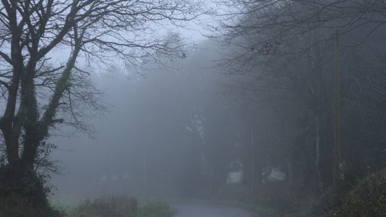 Paysage de Coat-Maël - © Dimitri Burdzelian