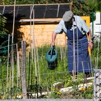 Se passer de pesticide signifierait-il un retour à des techniques agricoles anciennes et une production plus locale ? Cela est-il possible ?