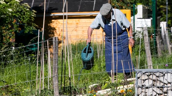 Se passer de pesticide signifierait-il un retour à des techniques agricoles anciennes et une production plus locale ? Cela est-il possible ? ©Maxppp - Vincent Isore